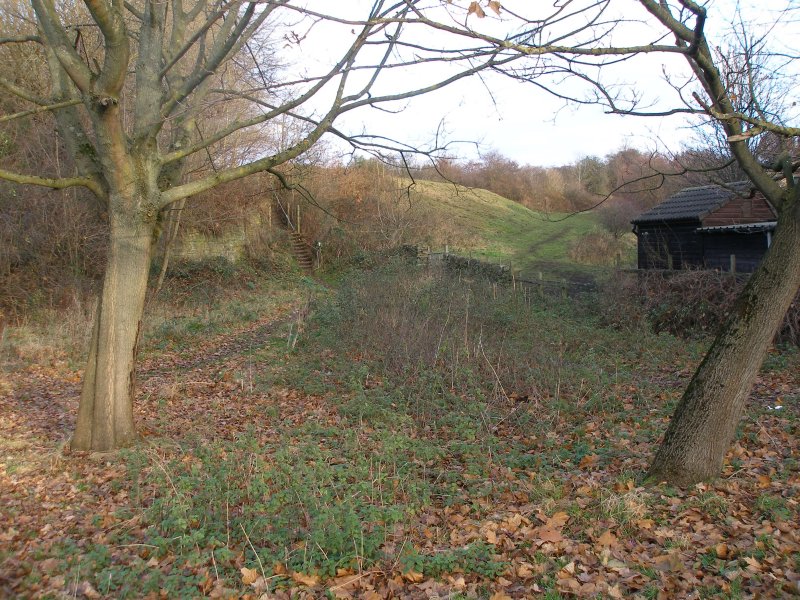 Clifton Colliery Railway incline from Clifton Common, 3 December 2016.