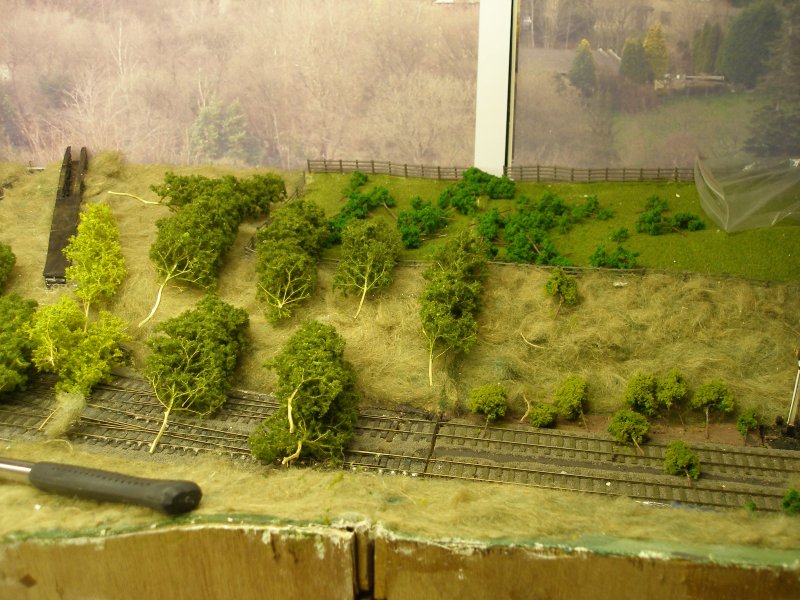 Hall Royd Junction (the model) showing the Kiln Clough culvert with Seafoam trees layed out.