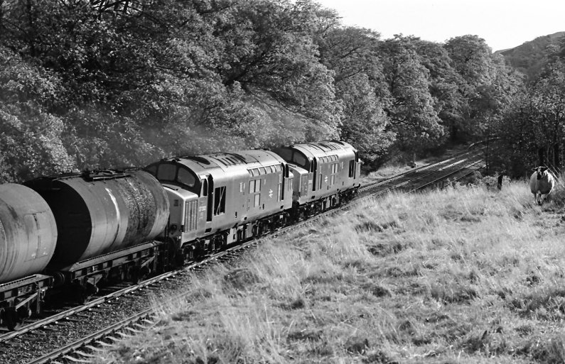 Class 37 37202 (nearest camera) and 37153 head towards Copy Pit and Cornholme with a tanker train that originated from Preston Docks on 26 October 1981