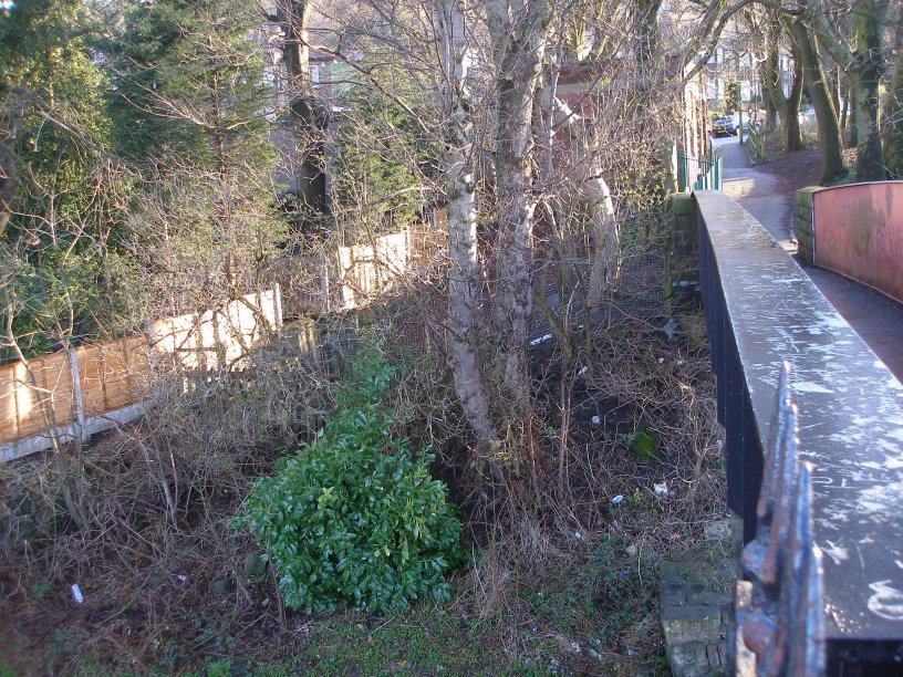 Stansfield Hall footbridge field survey 22 March 2014 showing embankment